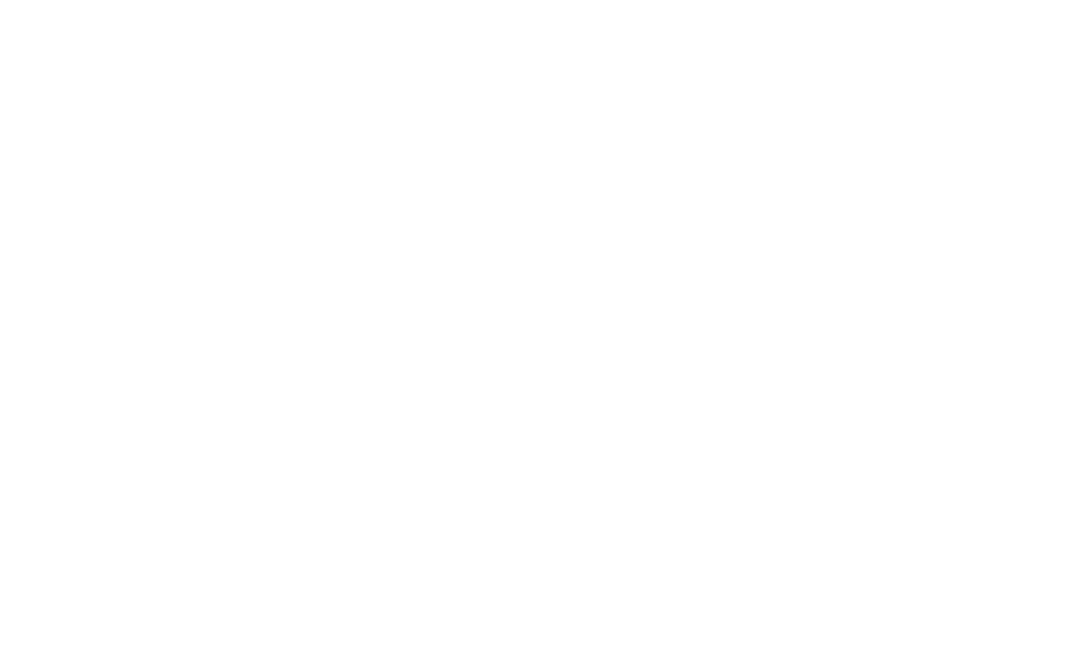 Speed Soul White Logo